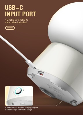 Y4 11